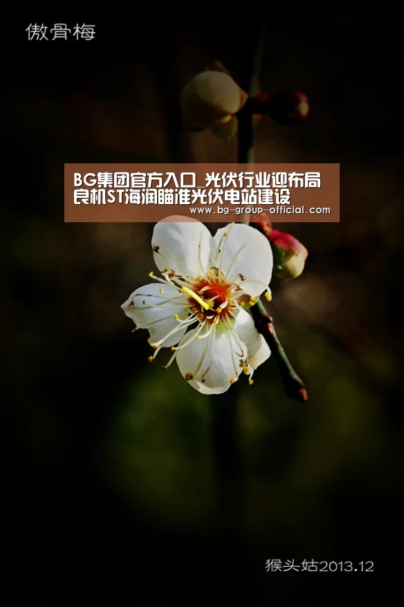 BG集团官方入口_光伏行业迎布局良机ST海润瞄准光伏电站建设(图2) BG集团