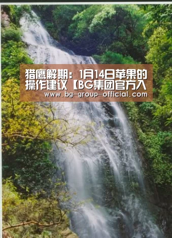 猎鹰解期:1月14日苹果的操作建议【BG集团官方入口】(图2) BG集团