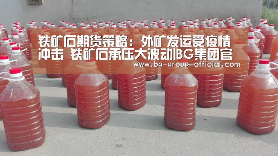 铁矿石期货策略:外矿发运受疫情冲击 铁矿石承压大波动|BG集团官网(图2) BG集团官网