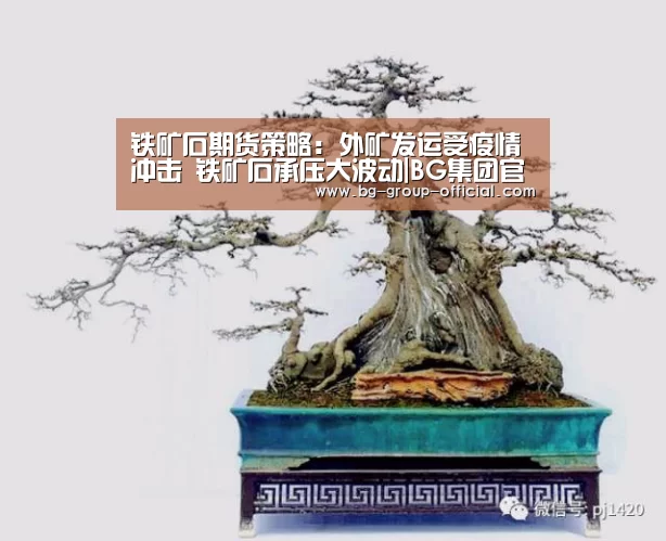 铁矿石期货策略:外矿发运受疫情冲击 铁矿石承压大波动|BG集团官网(图3) BG集团官方入口